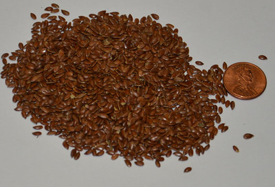 Flax Seed